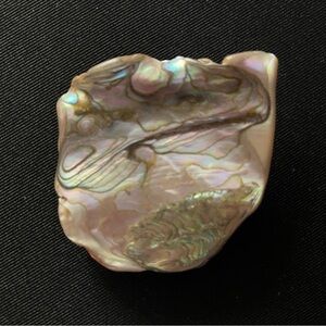 Iridescent, Vintage Abalone Shell Brooch